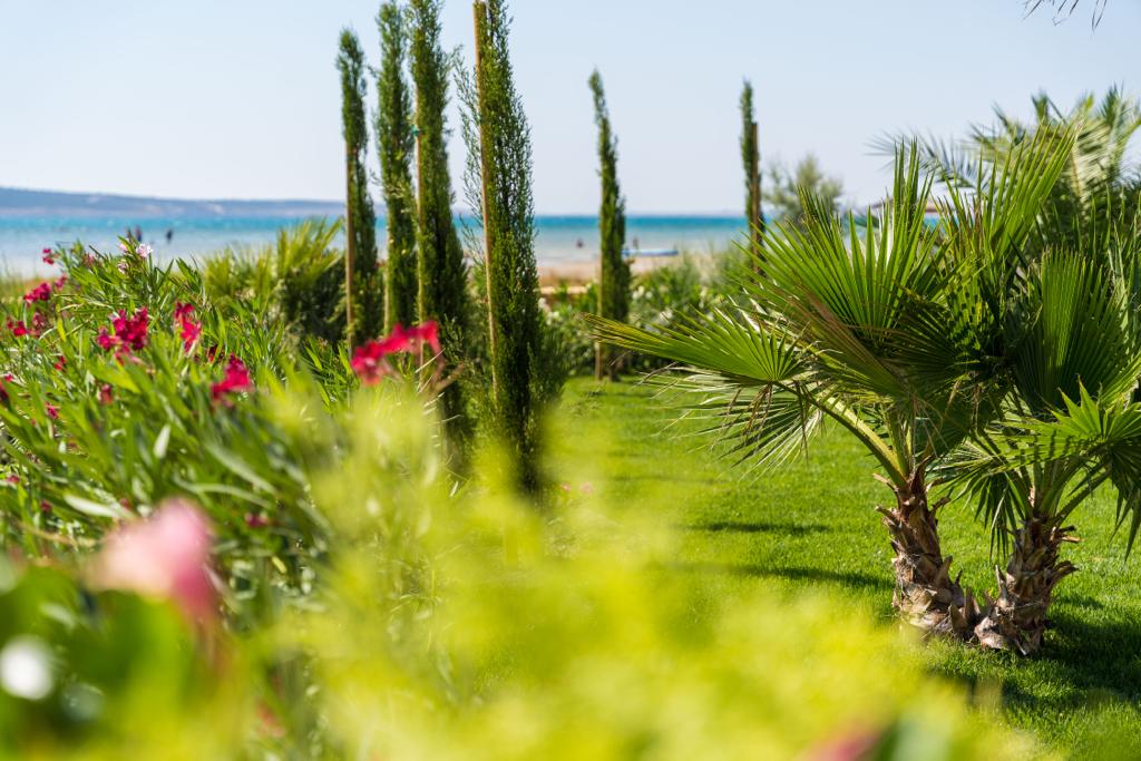 PHOTO-2022-09-20-16-48-41