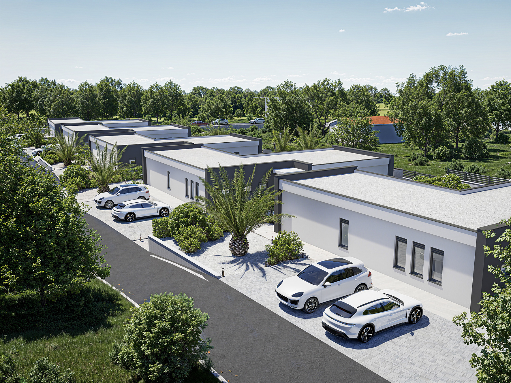 RAYVIZ-JM-Smokovic_final2-5